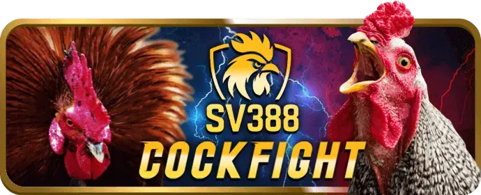 Minh họa các biện pháp bảo vệ dữ liệu của k9bet trang chủ chính thức